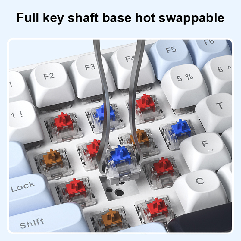 AULA S100Pro Wireless Mechanic - Gaming Keyboard Type C 评论和价格